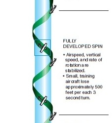 Spin-Fully Developed